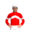 Jockey Silk