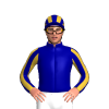 Jockey Silk