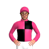 Jockey Silk