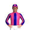 Jockey Silk