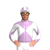 Jockey Silk