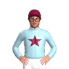 Jockey Silk