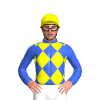 Jockey Silk