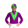 Jockey Silk