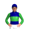 Jockey Silk
