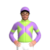 Jockey Silk