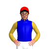 Jockey Silk