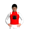 Jockey Silk