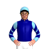 Jockey Silk