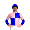 Jockey Silk