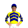 Jockey Silk