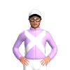 Jockey Silk