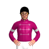 Jockey Silk