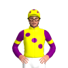 Jockey Silk
