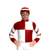 Jockey Silk