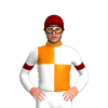 Jockey Silk