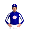 Jockey Silk