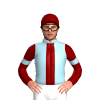 Jockey Silk