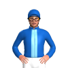 Jockey Silk