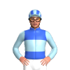 Jockey Silk