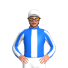 Jockey Silk