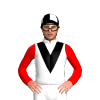 Jockey Silk
