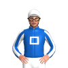Jockey Silk