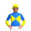 Jockey Silk