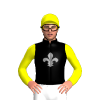 Black, Grey Fleur De Lys, Yellow Sleeves And Cap