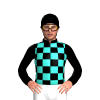 Black And Turquoise Checks