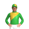 Green, Gold Diagonal Halves, Quartered Cap