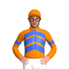 Orange, Royal Blue Chevrons And Armbands