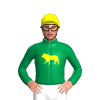 Emerald Green, Yellow Rampant Lion And Cap