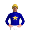 Dark Blue, Gold Star And Cap