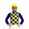 Navy And Yellow Checks, Navy Sleeves, Yellow Cap