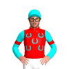 Red, Aqua Horseshoes, Aqua Sleeves With Red Armbands And Aqua Cap