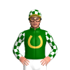 Dark Green, Old Gold Horseshoe, White Checked Sleeves And Cap