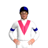 White, Cerise V, Dark Blue Armbands, Quartered Cap
