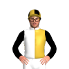 White And Gold Vertical Halves, Black Sleeves, Gold And Black Quartered Cap