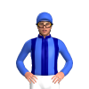 Navy Blue, Royal Blue Stripes, Sleeves And Cap