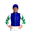 Navy Blue, Emerald Green Seams, White And Emerald Green Chevrons Sleeves