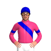 PINK, MEDIUM BLUE RIGHT SASH, ARMBANDS,CAP