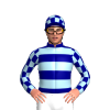 NAVY, LT BLUE HOOPS, CHECKS SLEEVES, CHECKS CAP
