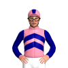 PINK SHERBET, NAVY TWO CHEVRONS, SLEEVES, STRIPE CAP