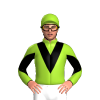 YELLOW GREEN, BLACK VEE, DIABLO SLEEVES