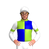 YELLOW GREEN, MEDIUM BLUE QUARTERS,WHITE SLEEVES, YELLOW GREEN ARMBANDS,WHITE CAP