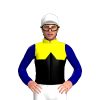 YELLOW, BLACK HALVES, BLACK DIAMOND BAND, NAVY SLEEVES, White cap