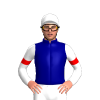 NAVY, WHITE FIVE STARS, WHITE SLEEVES , RED ARMBANDS, White cap