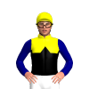 YELLOW, BLACK HALVES, BLACK DIAMOND BAND, NAVY SLEEVES, Yellow cap