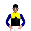 YELLOW, BLACK HALVES, BLACK DIAMOND BAND, NAVY SLEEVES, Black cap
